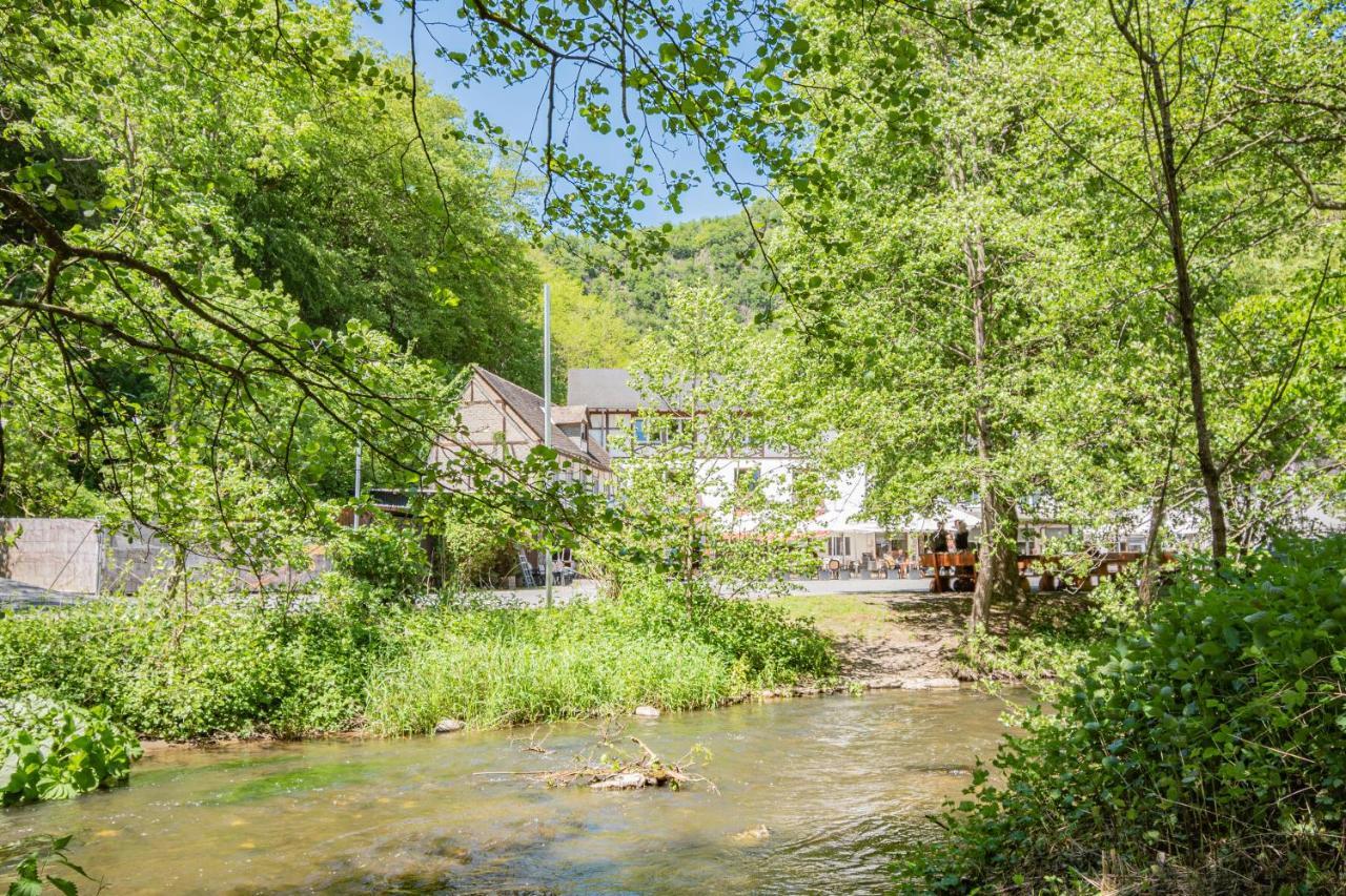 Landhotel Ringelsteiner Muehle Moselkern Esterno foto